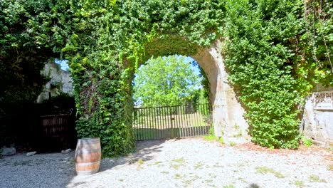 a serene archway in a lush vineyard