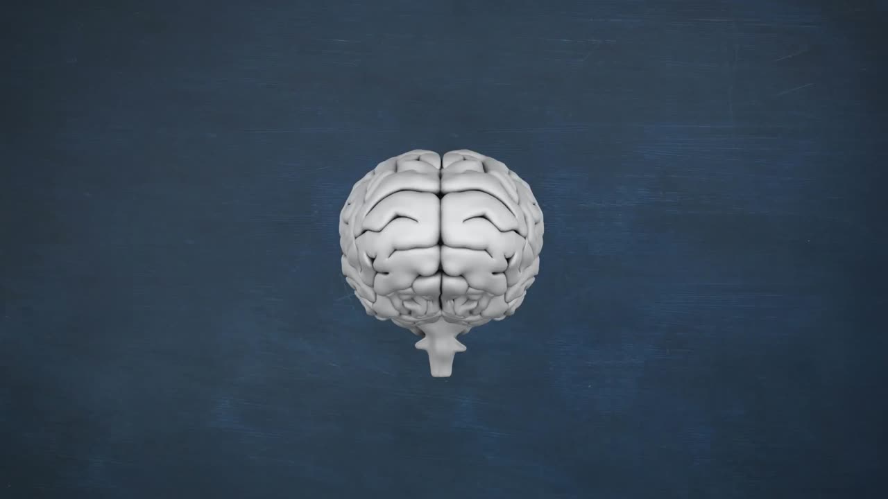 cerebro gris con dibujo de objetos de estudio