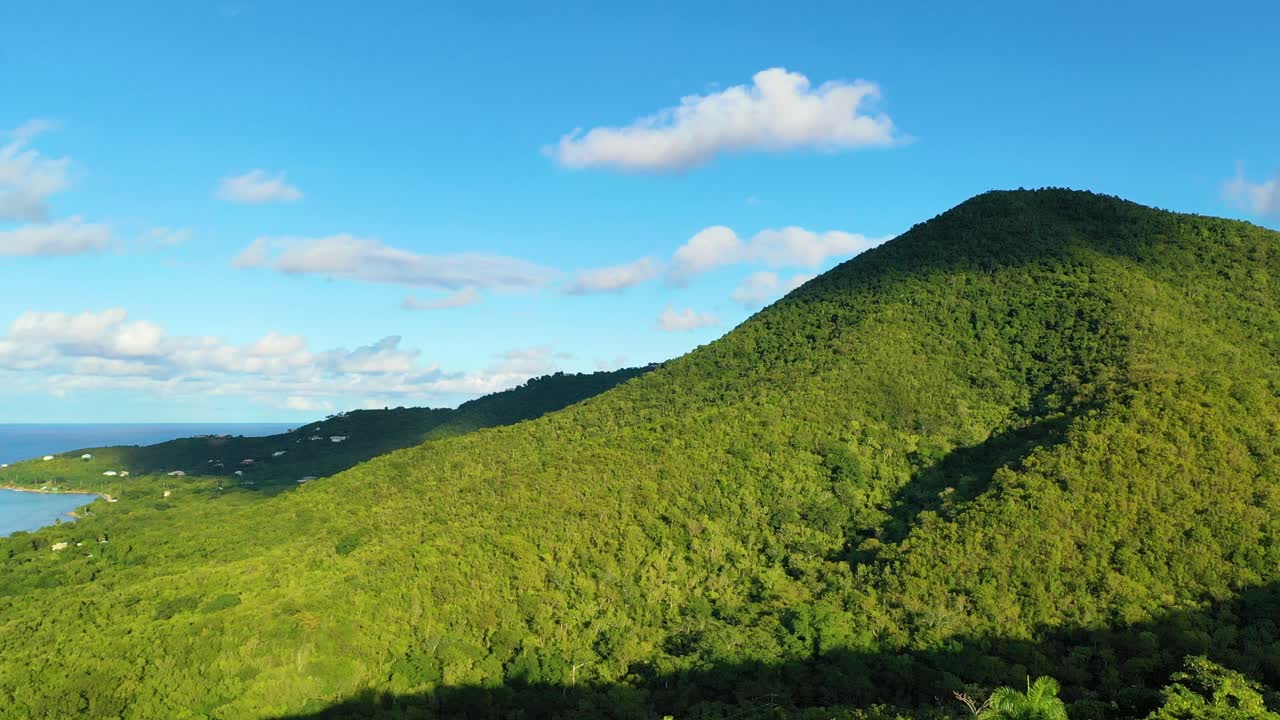 Flying over the untouched forest of St. Croix, this drone shot highlights dense vegetation, island wildlife habitats, and the natural rhythm of Caribbean flora bathed in golden daylight
