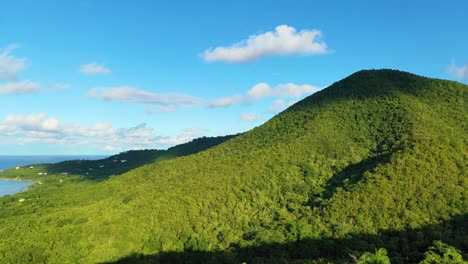 flying over the untouched forest of st. croix, this drone shot highlights dense vegetation, island wildlife habitats, and the natural rhythm of caribbean flora bathed in golden daylight