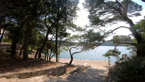 정오의 태양과 반짝이는 물, 돌담길과 작은 부두 너머 소나무 숲 그늘에서 바라보는 전망
