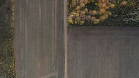 satisfactoria vista hacia abajo del campo agrícola con camino recto de tierra
