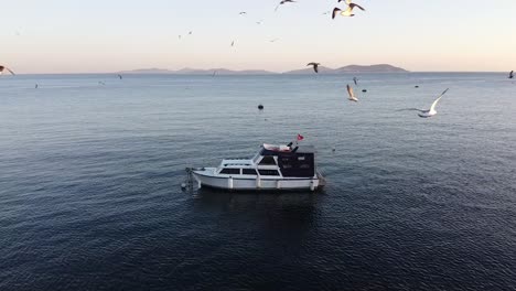 las gaviotas bailan alrededor de un yate de motor privado amarrado frente a la costa cerca de estambul, turquía