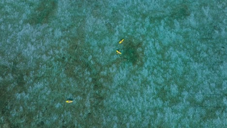 Top-down-view-of-people-in-yellow-kayaks-during-holiday-recreational-activity,-blue-tropical-water