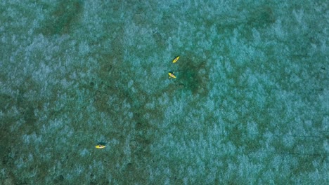 top down view of people in yellow kayaks during holiday recreational activity, blue tropical water