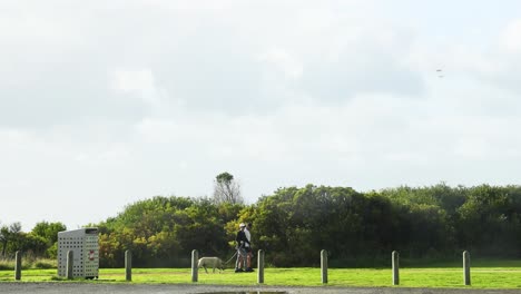 person walking dog in a green park