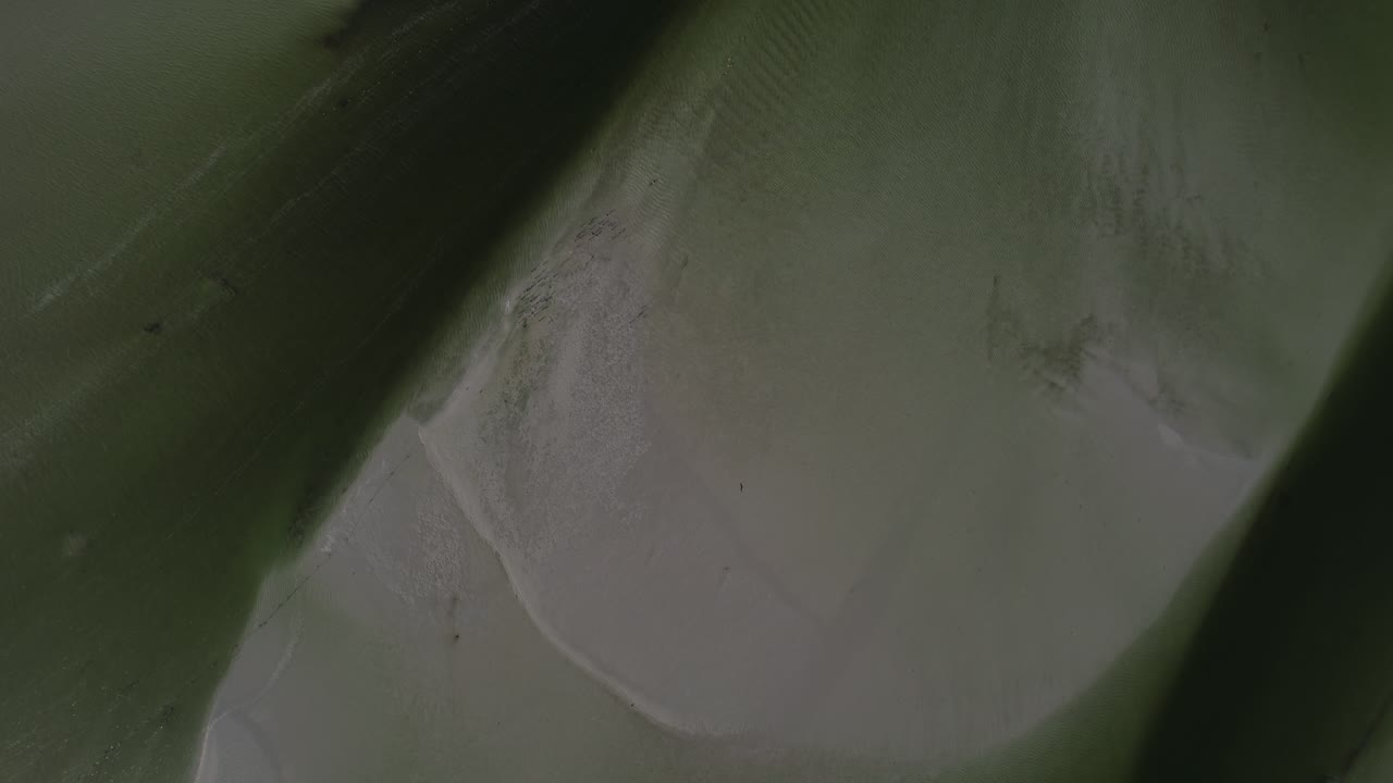 fotografía aérea de una gran masa de tierra en el agua con aves volando en la distancia