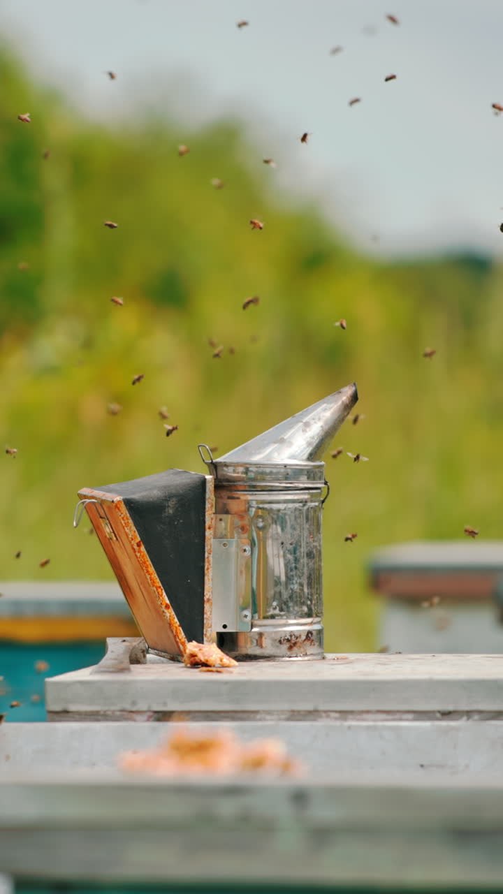 Multiple bees flying wildly over their hives. Beekeeper comes to take away his instruments left before on the beehive. Vertical video