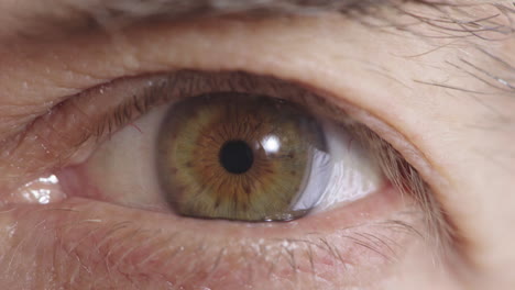 abrir los ojos de cerca mirando a la cámara hermoso iris detalle macro belleza óptica humana