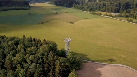 una torre eléctrica se encuentra en el borde de un bosque cerca del lago constance en la franja alpina