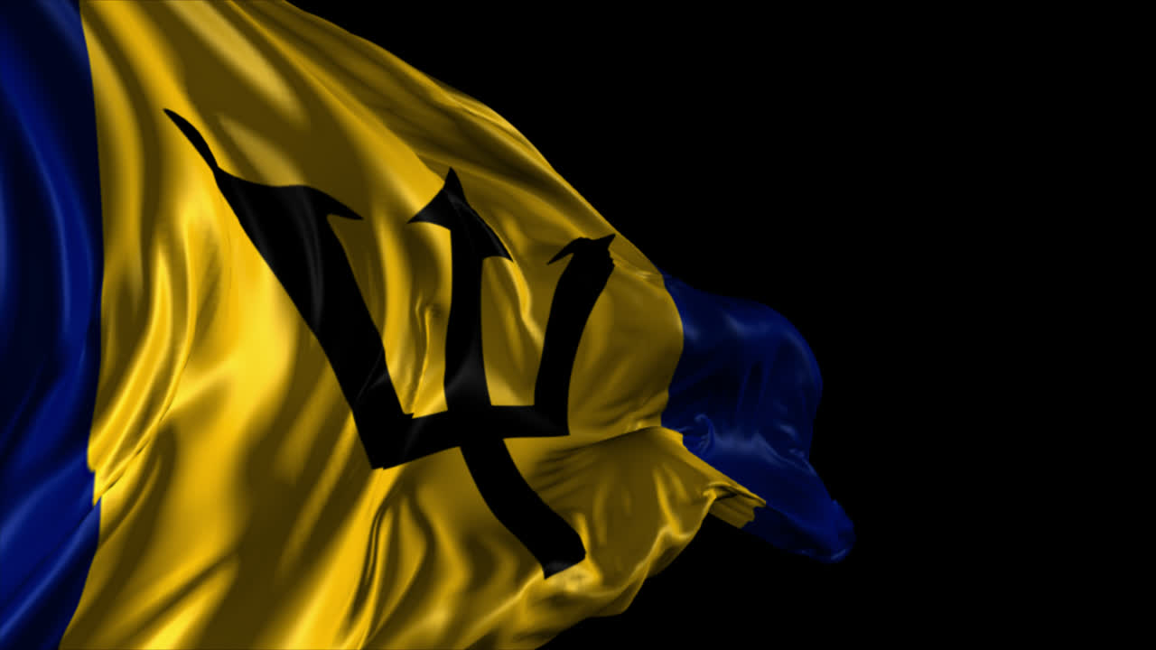 바르바도스 발을 흔들고