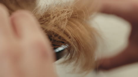 cutting long hair at the barber