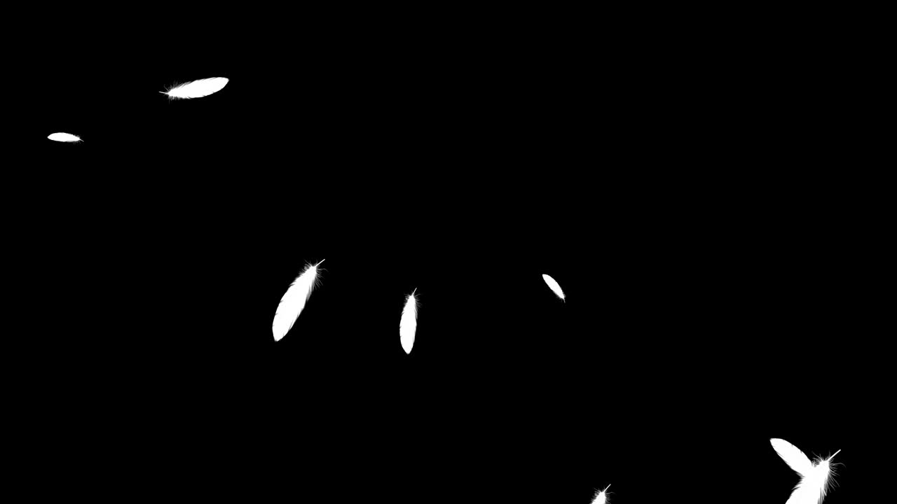 털이 날아다니는 입자 모션 그래픽