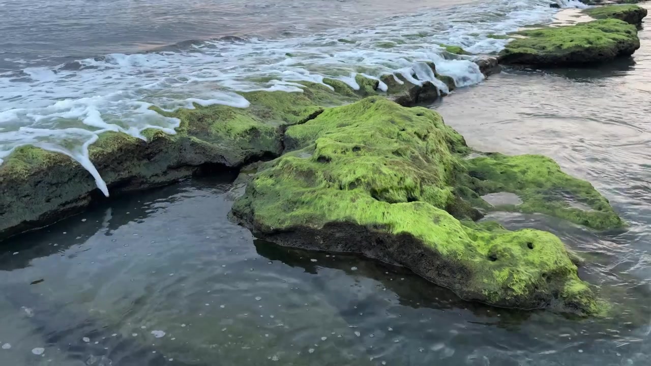 Onde dell'oceano che lambiscono delicatamente rocce verdi ricoperte di muschio sulla riva del mare
