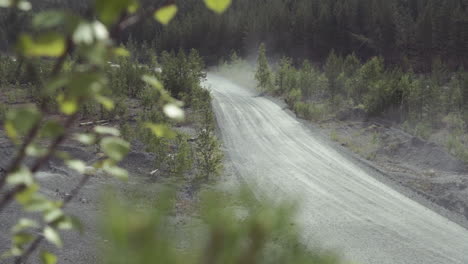 rally car on a dirt road through the forest