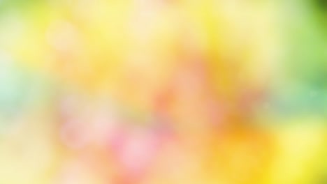 abstract color background with bokeh motion