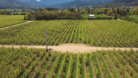 Aerial-view-of-valley-filled-with-fruit-orchards,-Southern-Oregon