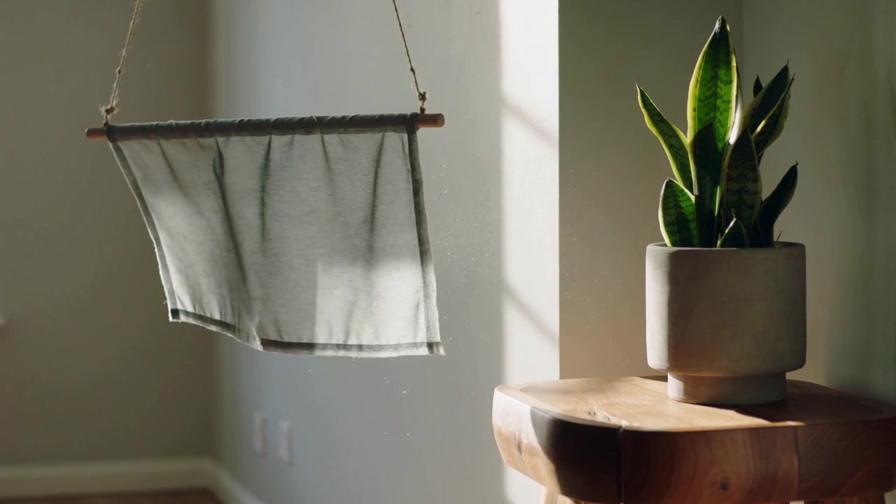 Swaying hanging textile panel drifting from window draft across painted wall, with snake plant