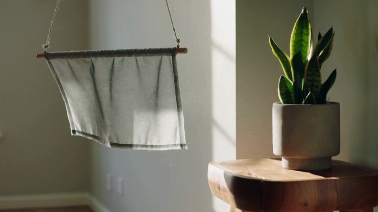 Pannello tessile appeso che ondeggia, mosso dalla corrente d'aria della finestra, attraverso una parete dipinta, con una pianta di Sansevieria.