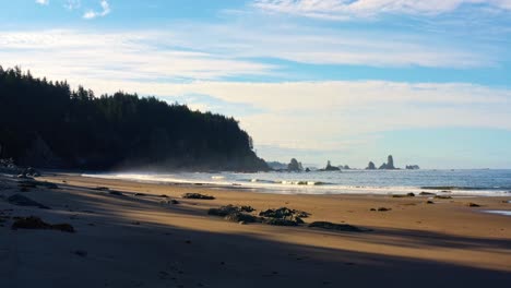 stunning rising and dollying in aerial drone shot of the gorgeous third beach in forks, washington with large rock formations, cliffs, small waves and golden sand on a warm sunny summer morning