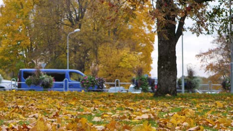 autumn city view in the city