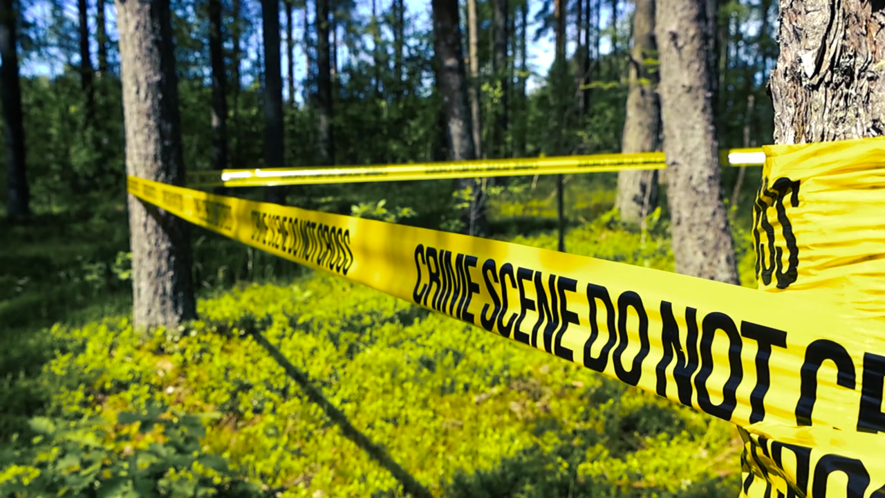 Bright yellow police tape with the text Crime Scene Do Not Cross restricting access to a woodland area during a sunny day, cordoning off the perimeter for investigation of a felony