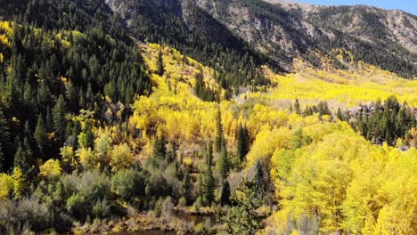 Vista-Aérea-De-Los-Colores-Del-Otoño-Cerca-Del-Paso-De-La-Independencia,-Vail-Colorado