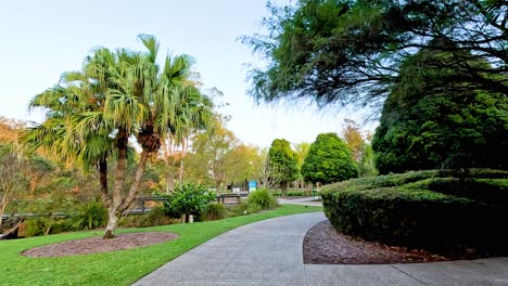 scenic walk in gold coast botanical gardens