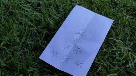 a drawing with suns in the shape of a christmas tree lies in the grass