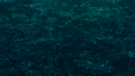 animación de las olas del océano. textura del agua vista aérea
