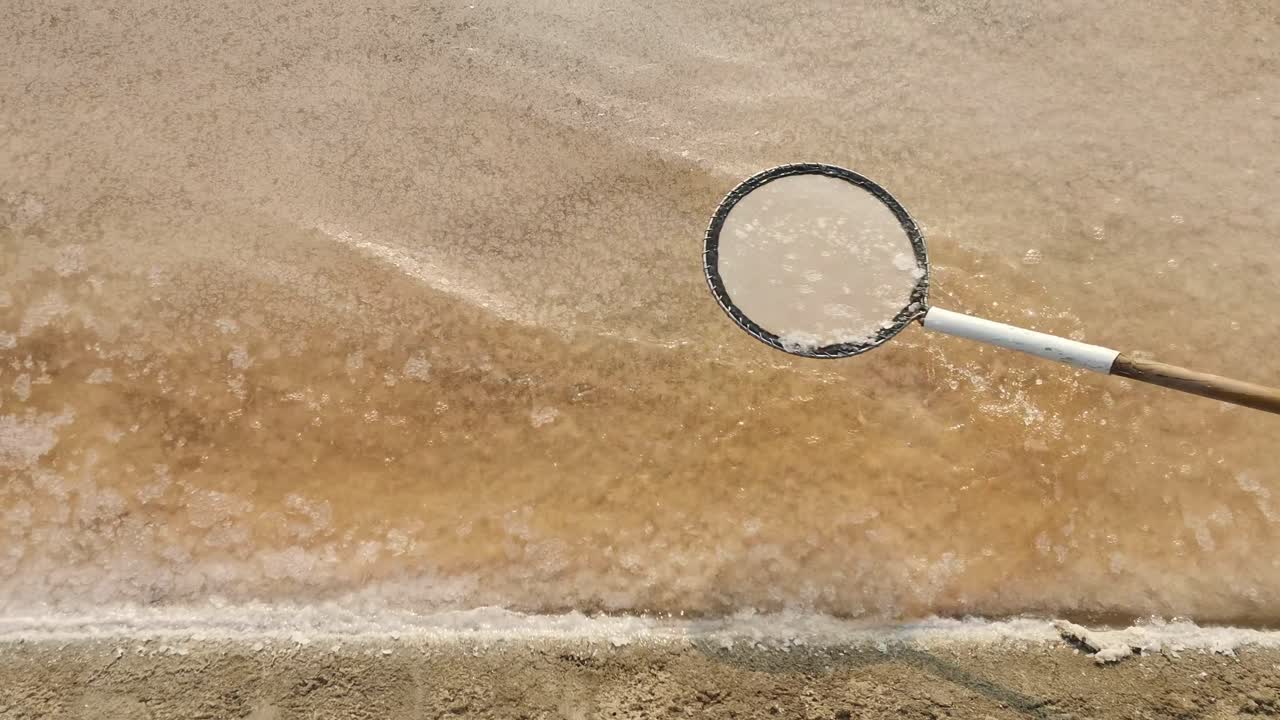 태국 의 소금 호수 에서 바다 소금 을 채취 하는 일