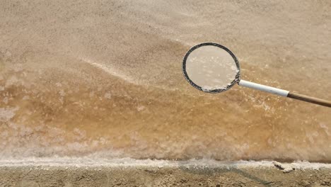 scooping sea salt from a salt lake in thailand