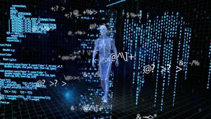 Animation of human model and data processing