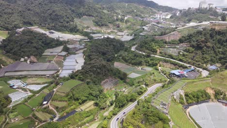 general landscape view of the brinchang district within the cameron highlands area of malaysia