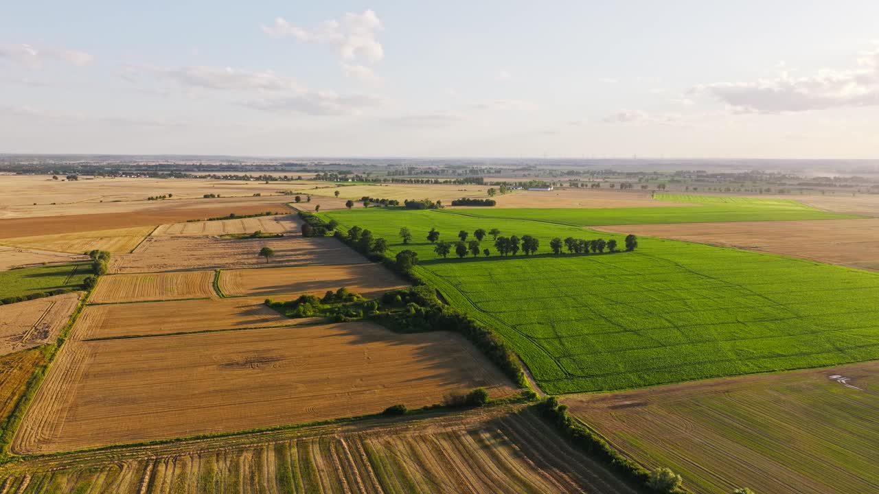Wide countryside fields and green meadows under soft golden sunset sky