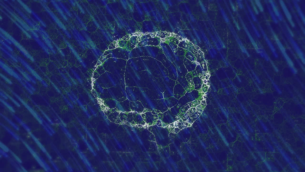 Animation of brain over moving blue lines