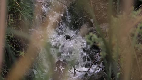 Water-Streaming-Down-A-Small-Creek-After-Heavy-Rainfall,-SLOW-MOTION