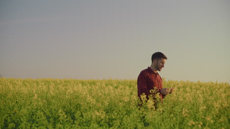 young farmer in blooming rapeseed field