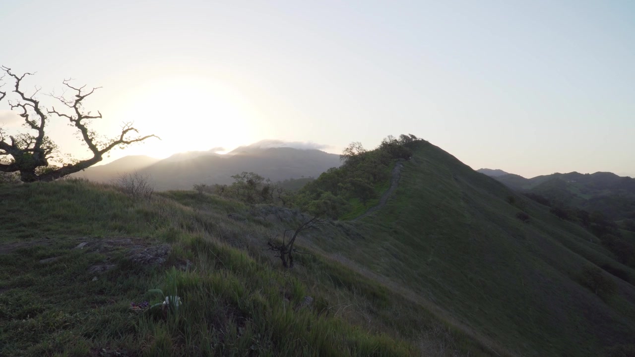 Bidikan Genggam sebuah Jalur Kosong di Perbukitan Hijau California di Pagi Hari.