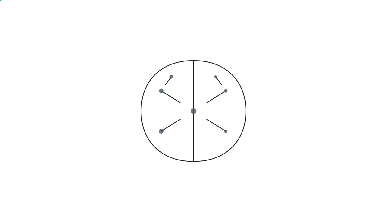 Animazione geometrica minimalista di linee che formano un cerchio