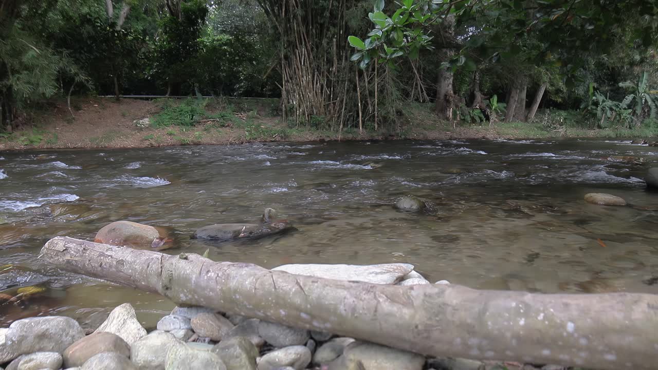 plano cerrado de un río ubicado en la ciudad de chuao, venezuela