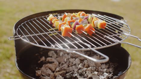 colorful vegetable kebabs grilling on a bbq