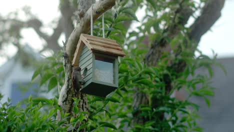 bird at a bird feeder in a garden