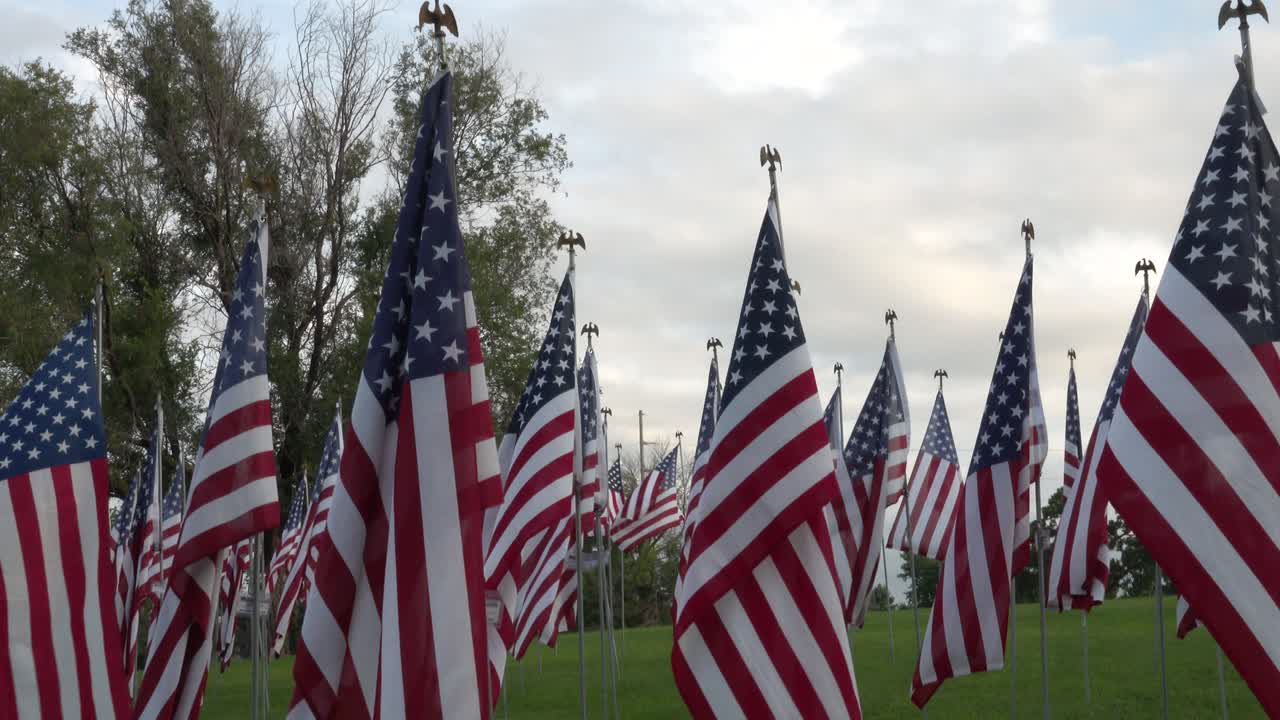 Field of American Flags Waving Gently in the Wind