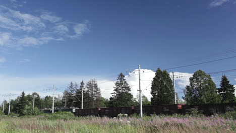 el tren de mercancías