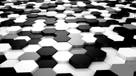 animated hexagons