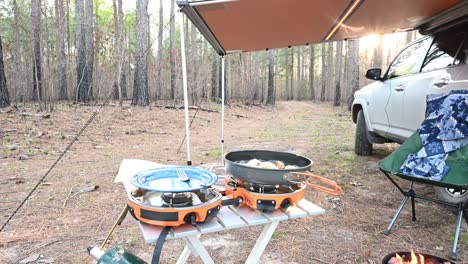 Overlanding campsite in woods with SUV