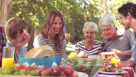 happy family having a picnic