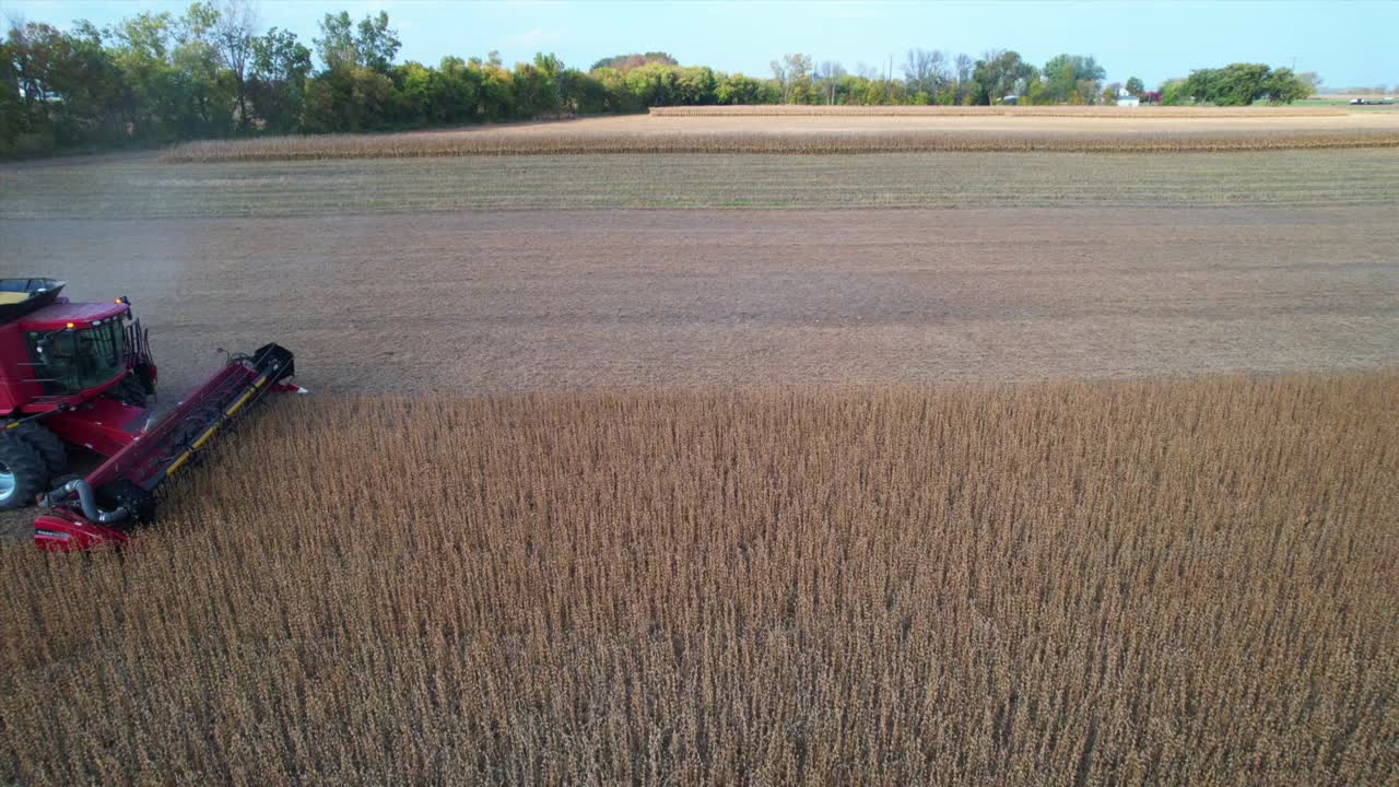 A farmer harvests a crop of soybeans in Northeast Wisconsin