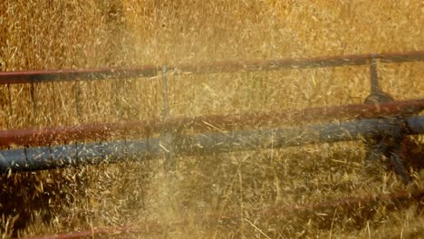 combine harvester harvesting wheat field